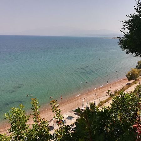 Koralli Sea View Hotel كاتو أكيا المظهر الخارجي الصورة