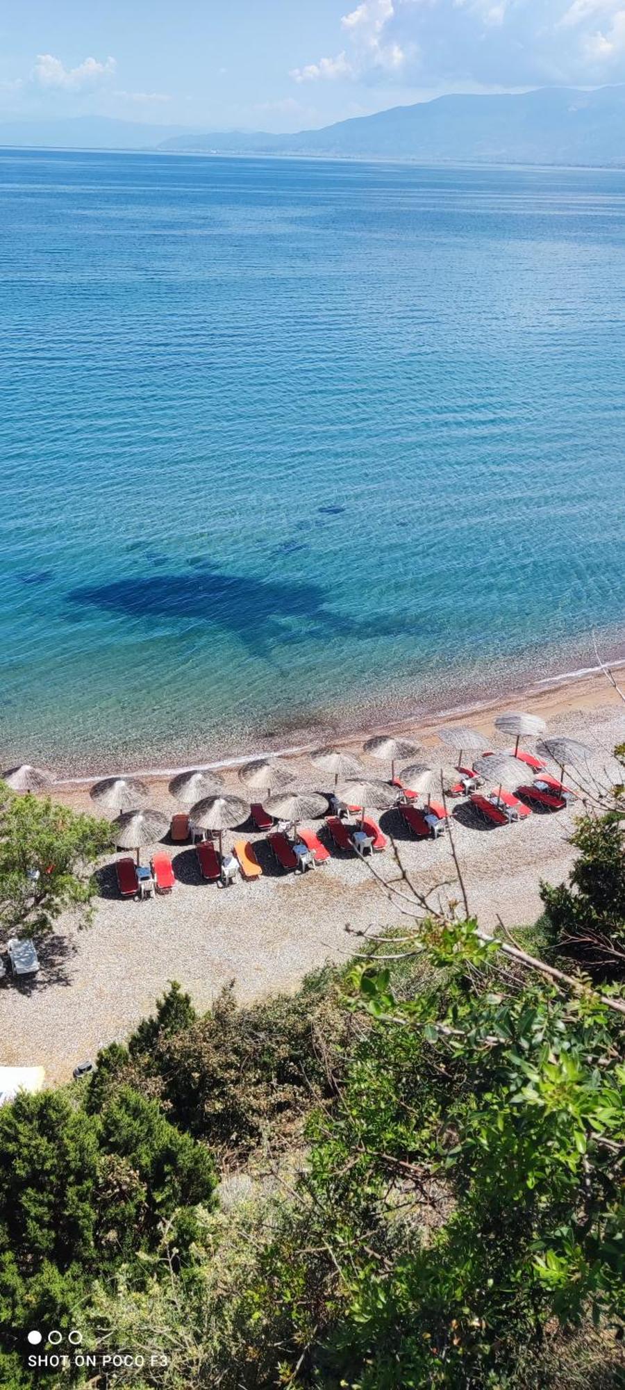 Koralli Sea View Hotel كاتو أكيا المظهر الخارجي الصورة